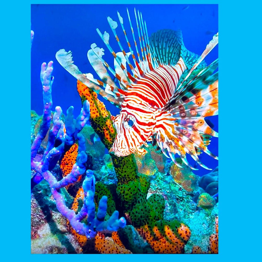 Colors of the sea!!